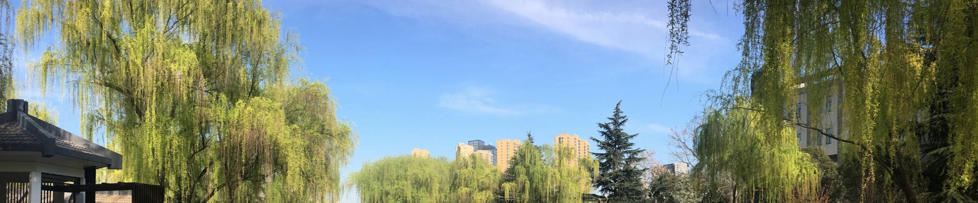 开云手机web版登录入口