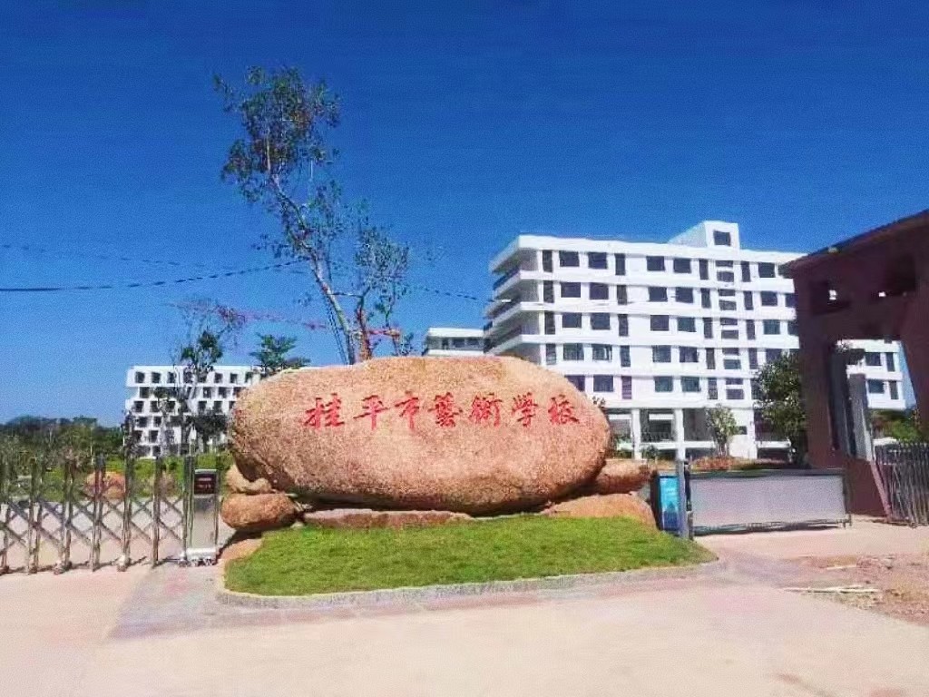 1712476444624911.jpg P6.jpg